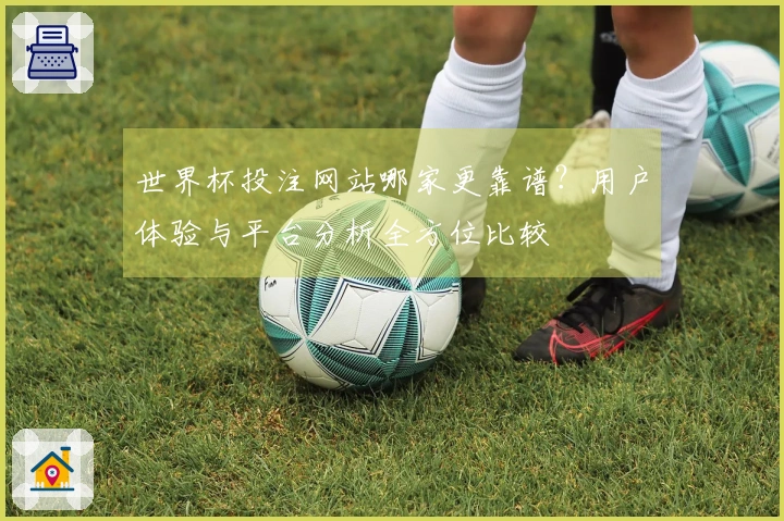 世界杯投注网站哪家更靠谱？用户体验与平台分析全方位比较