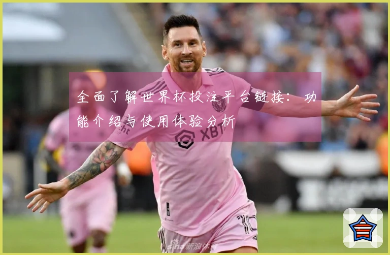 全面了解世界杯投注平台链接：功能介绍与使用体验分析