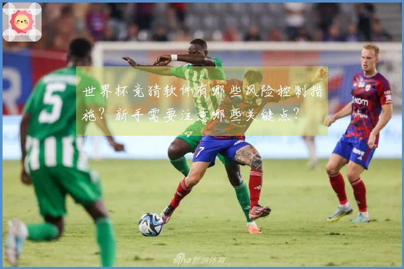 世界杯竞猜软件有哪些风险控制措施？新手需要注意哪些关键点？