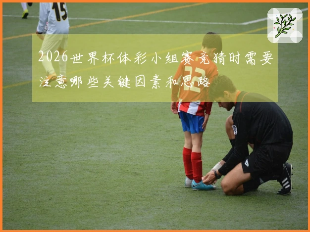 2026世界杯体彩小组赛竞猜时需要注意哪些关键因素和思路