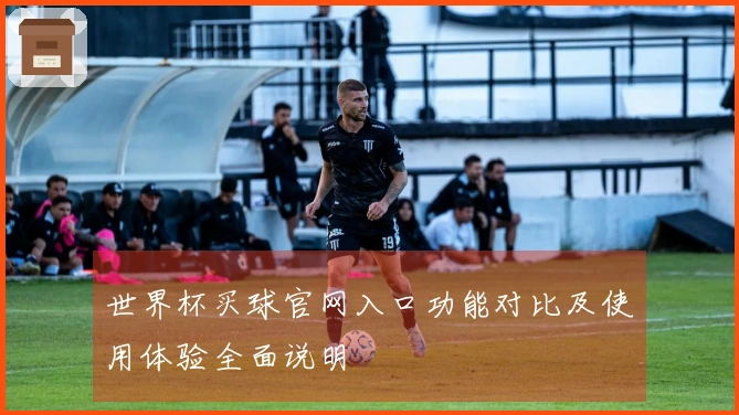 世界杯买球官网入口功能对比及使用体验全面说明