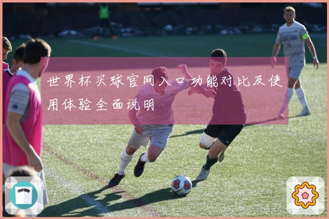 世界杯买球官网入口功能对比及使用体验全面说明